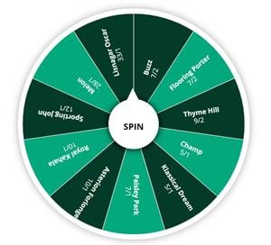 Stayers' Hurdle Selector - Spin the Wheel and Back Your Cheltenham Selection